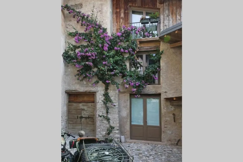 Mimosa - Terrazzo Vista Lago トスコラーノ・マデルノ